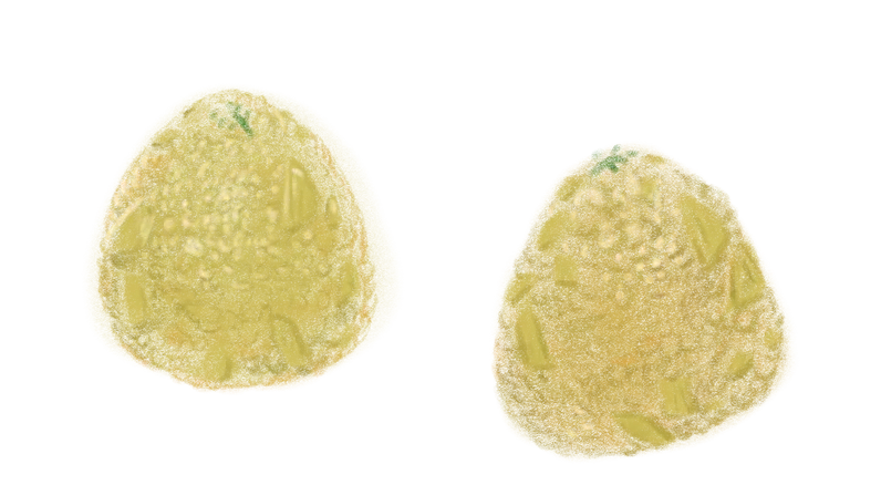 たけのこおにぎり たけのこおにぎり